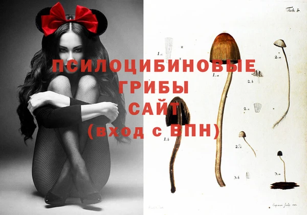 бошки Алзамай